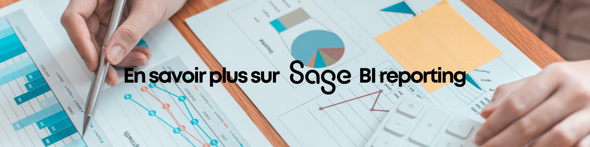 Sage BI Reporting